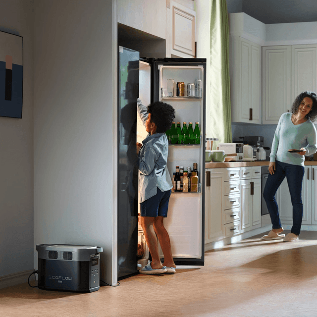 EcoFlow DELTA 2 Max